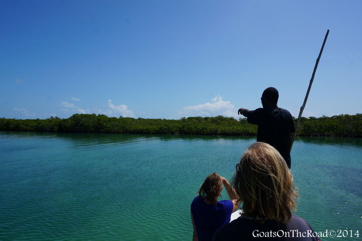 manatee tour belize