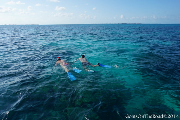 snorkelling caye caulker