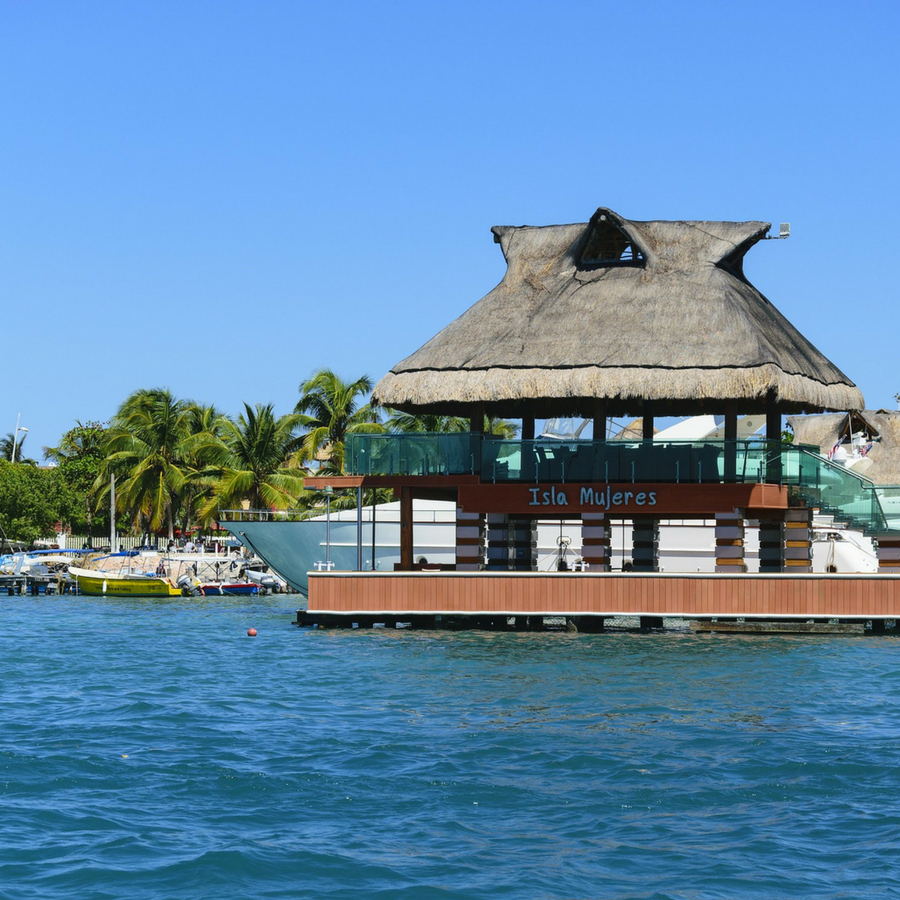 19-fun-things-to-do-in-isla-mujeres-goats-on-the-road