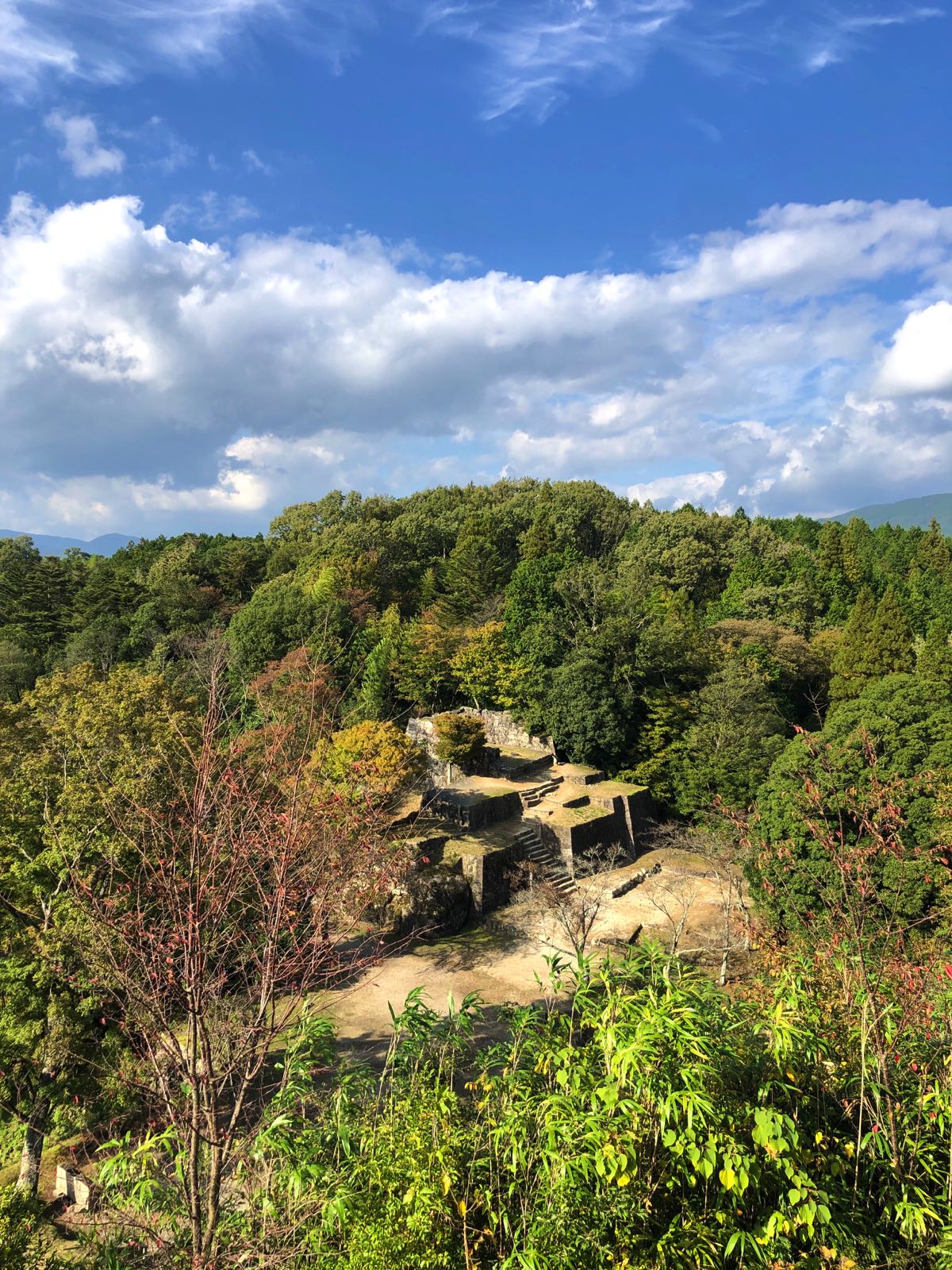 naegi castle nakatsugawa