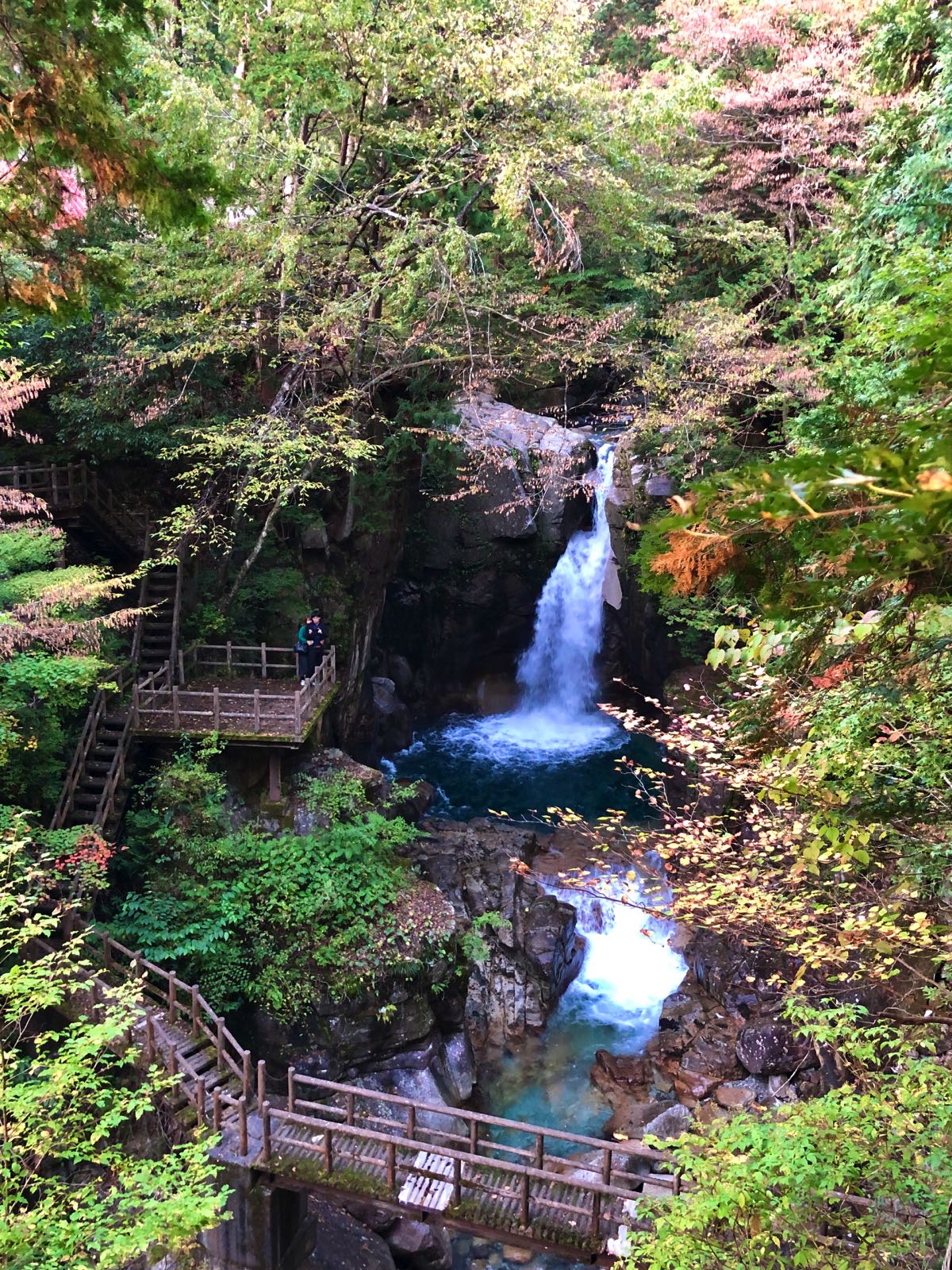 yumori park nakatsugawa